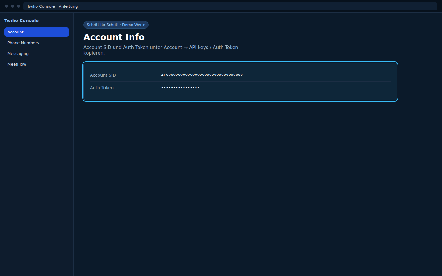 Twilio — Account Info